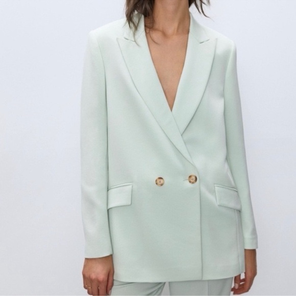 Aritzia Babaton Janson Blazer